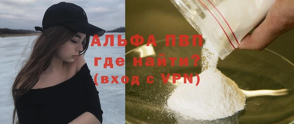 PSILOCYBIN Михайлов