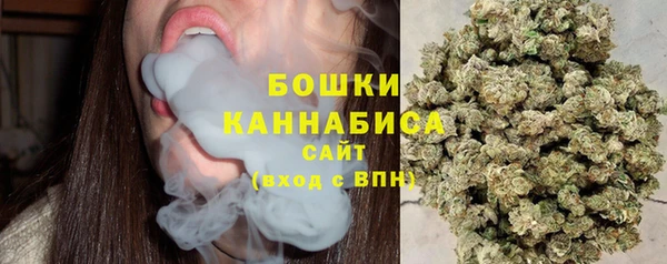 PSILOCYBIN Михайлов