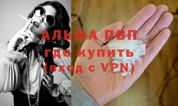 PSILOCYBIN Михайлов