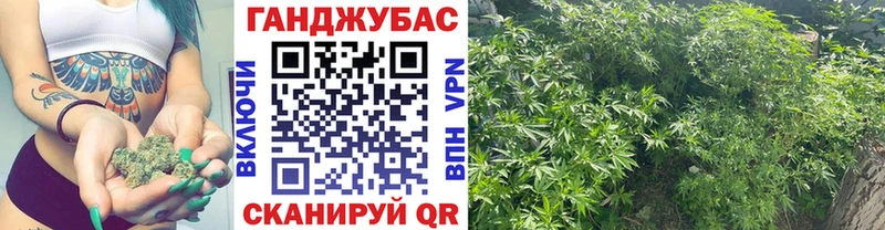 цена   Нарьян-Мар  Каннабис планчик 